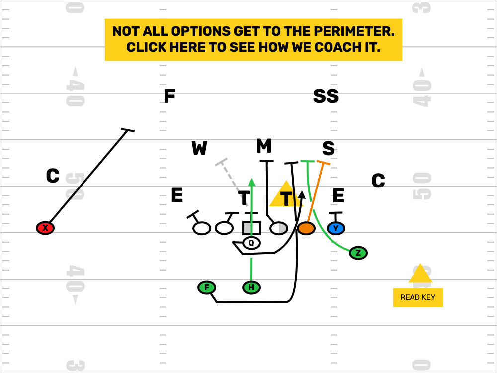 Wing T Midline Option