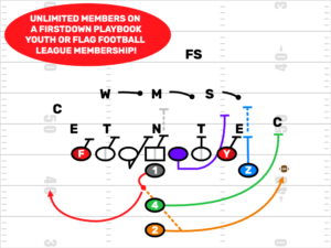 Youth Football League Membership Saves Huge $$